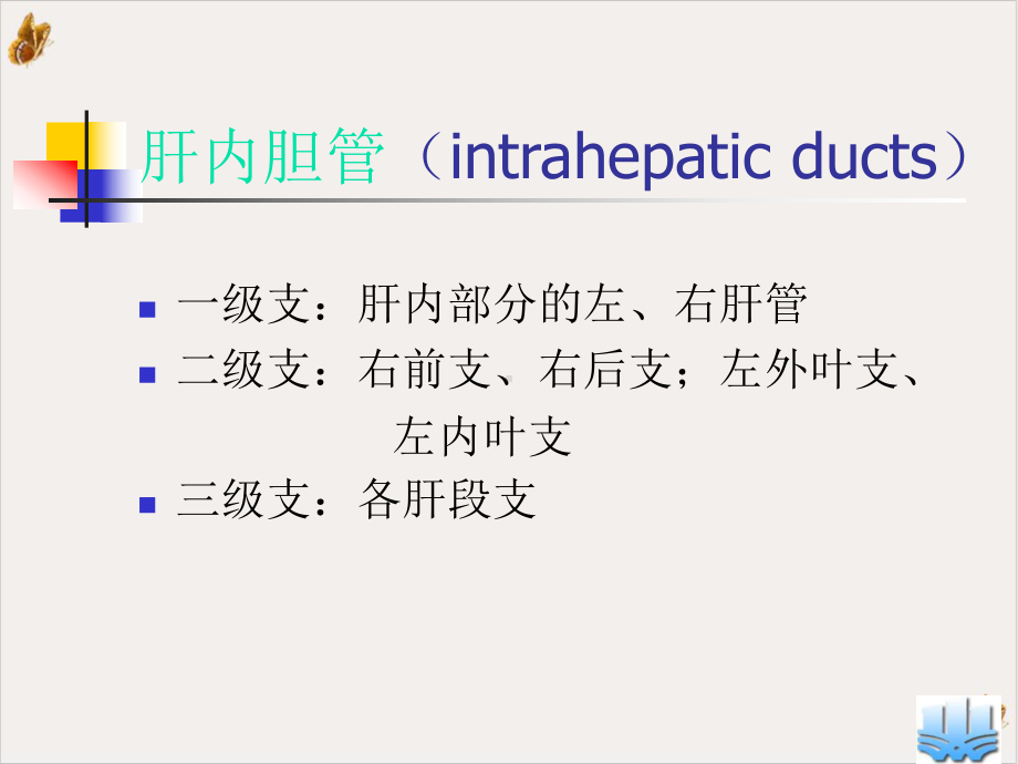 常见胆道疾病实用课件.ppt_第3页