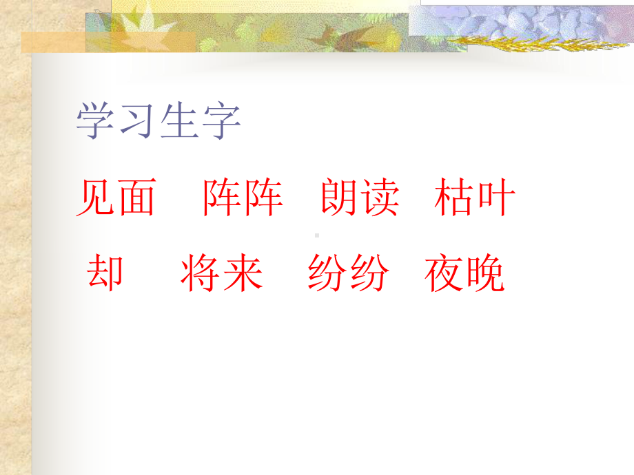 寒号鸟-课件.ppt_第2页