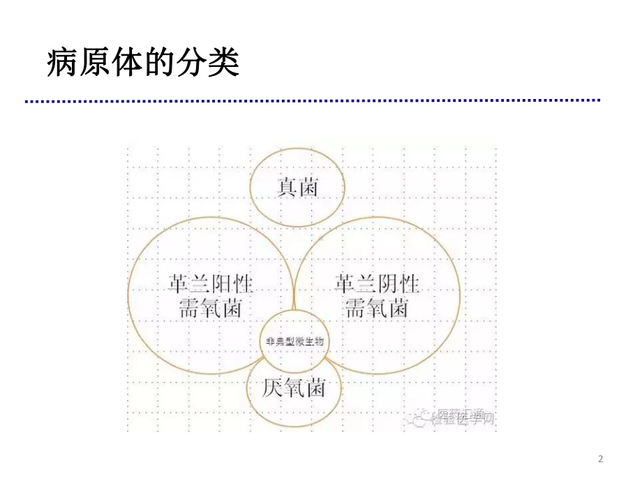 常用抗菌药物抗菌谱解析课件.pptx_第2页