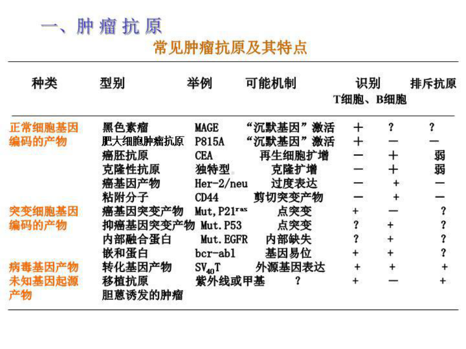 医学免疫学课程肿瘤免疫课件.ppt_第3页