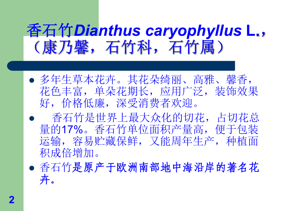 切花香石竹的栽培技术(-63张)课件.ppt_第2页