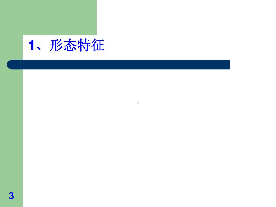 切花香石竹的栽培技术(-63张)课件.ppt_第3页