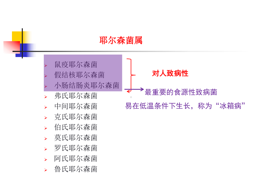 小肠结肠炎耶尔森菌课件.ppt_第2页