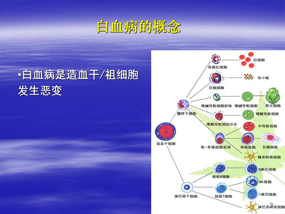 急性白血病的诊断分型和预后医学课件.ppt_第2页