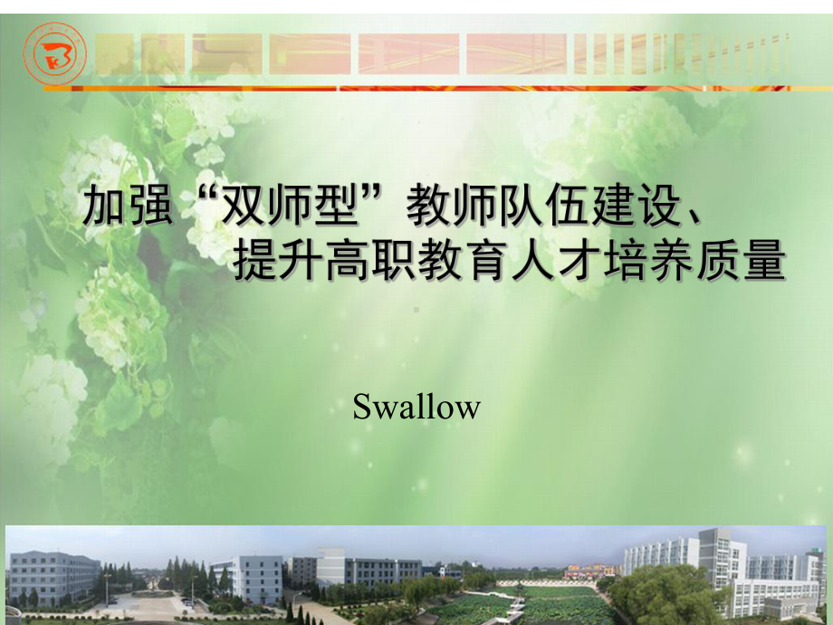 加强双师型教师队伍建设课件.ppt_第1页