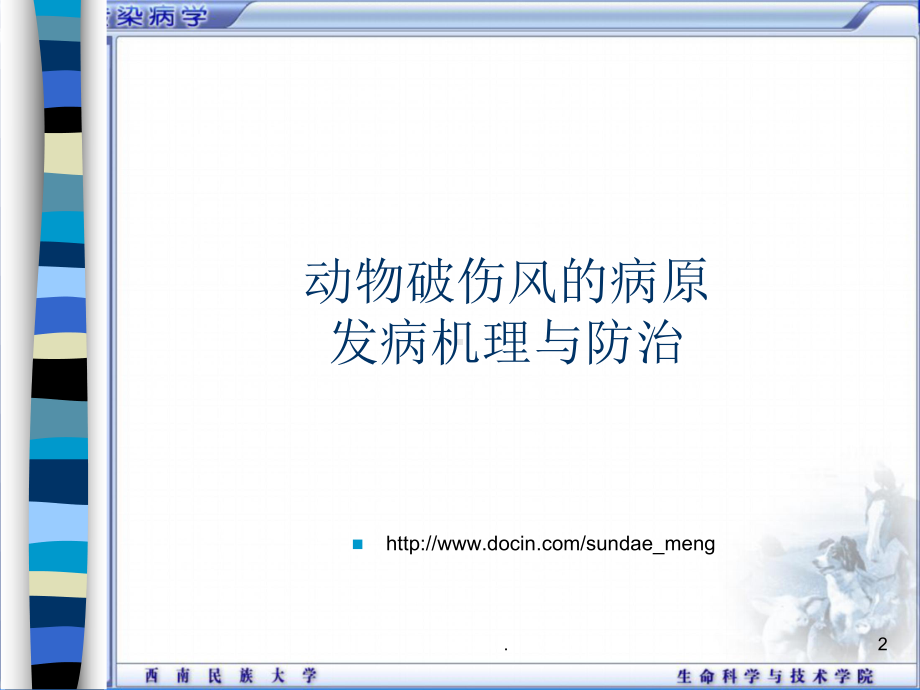 兽医学动物破伤风病原发病机理和防治课件.ppt_第2页