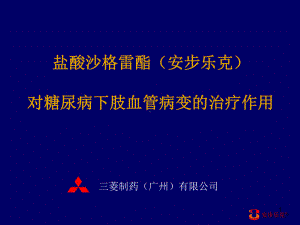 安乐克对糖尿病下肢血管病变的治疗作用课件.ppt