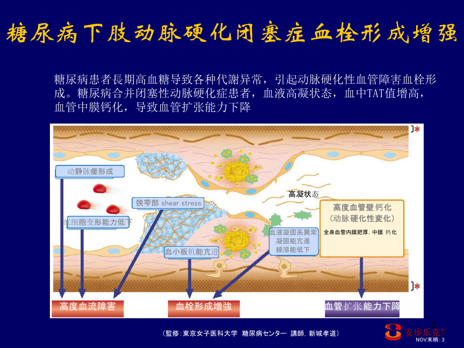 安乐克对糖尿病下肢血管病变的治疗作用课件.ppt_第3页