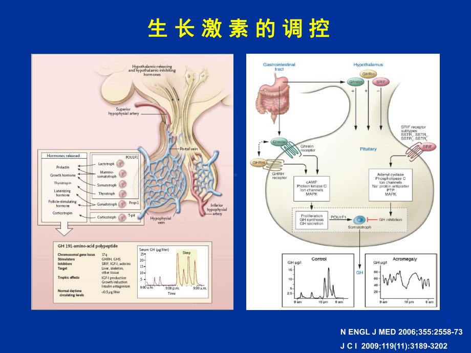 垂体生长激素瘤的诊断与治疗教学课件.ppt_第3页