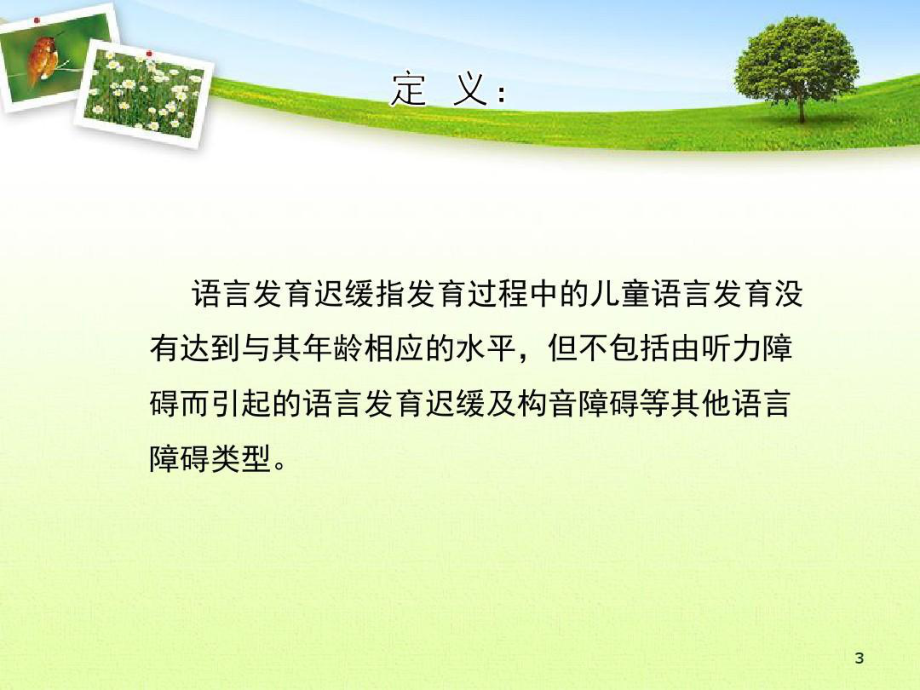 儿童语言发育迟缓精选课件共60张课件.ppt_第3页