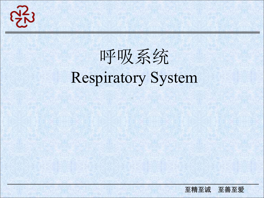 呼吸系统理论课课件.ppt_第1页