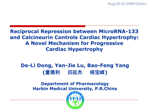 微RNA-133和心肌肥厚钙调磷酸酯酶控制的相互抑制(英文)课件.ppt