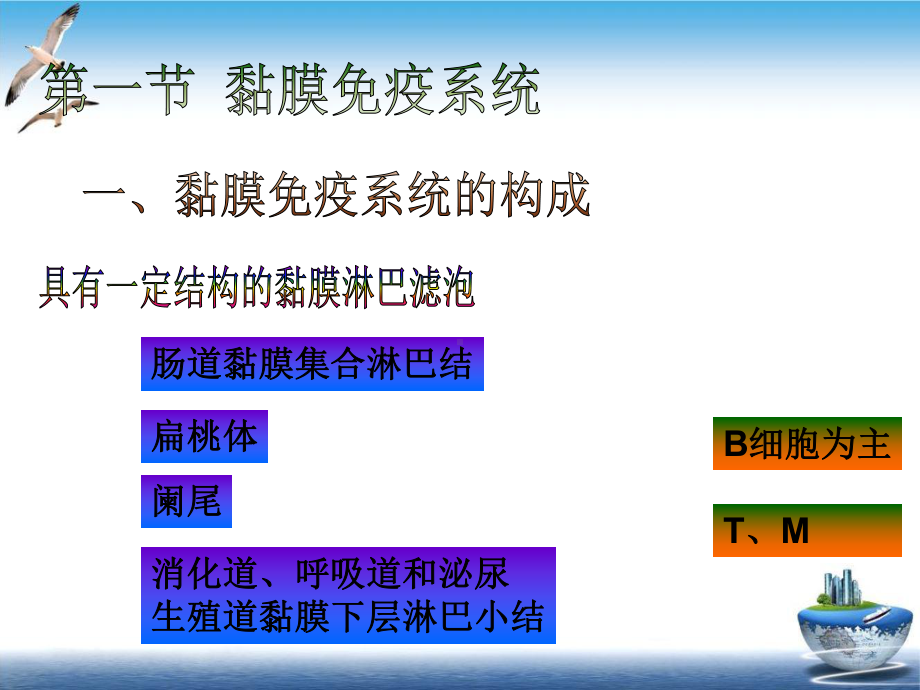 六章消化道黏膜免疫参考课件.ppt_第3页