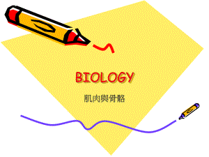 如骨质疏松症关节炎课件.ppt