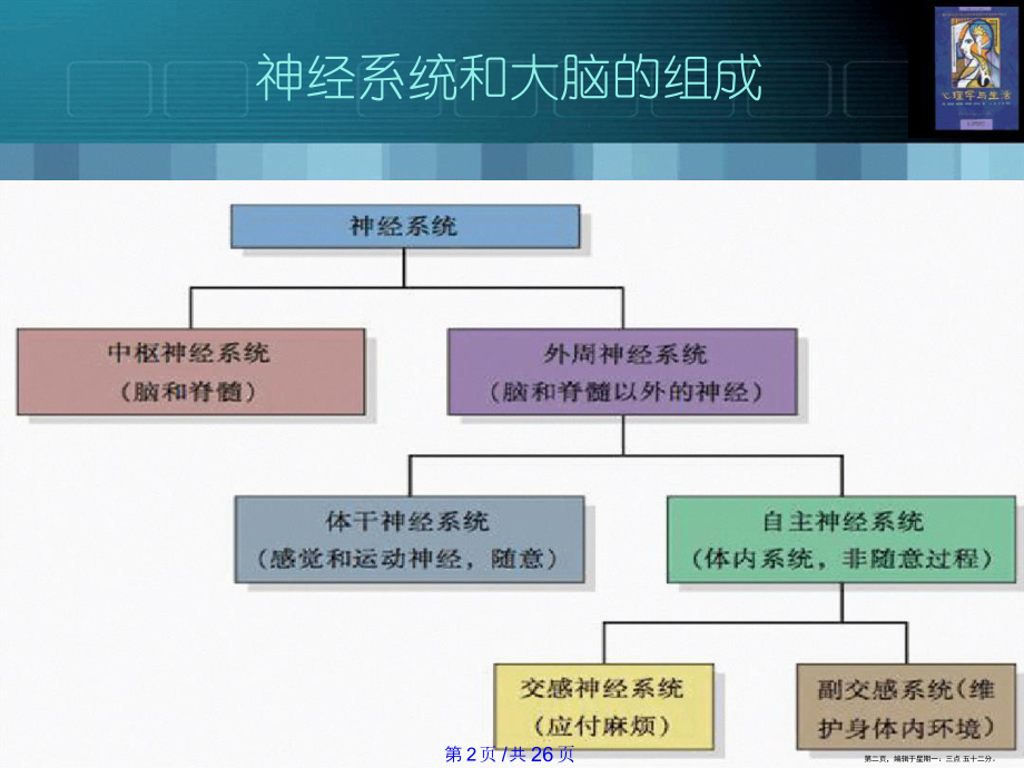 大脑是怎样工作课件.ppt_第2页