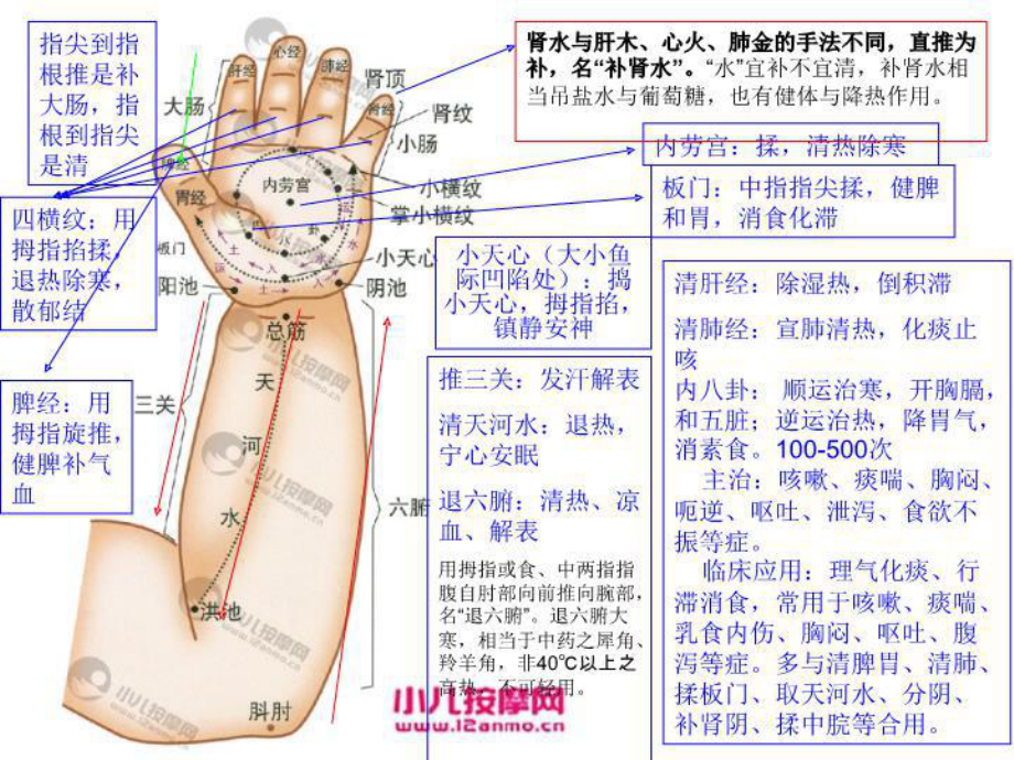 小儿推拿穴位课件.ppt_第2页