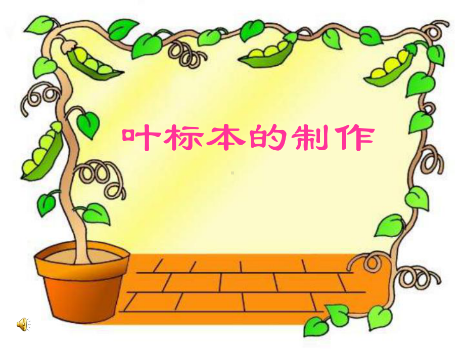 叶标本的制作课件.ppt_第1页