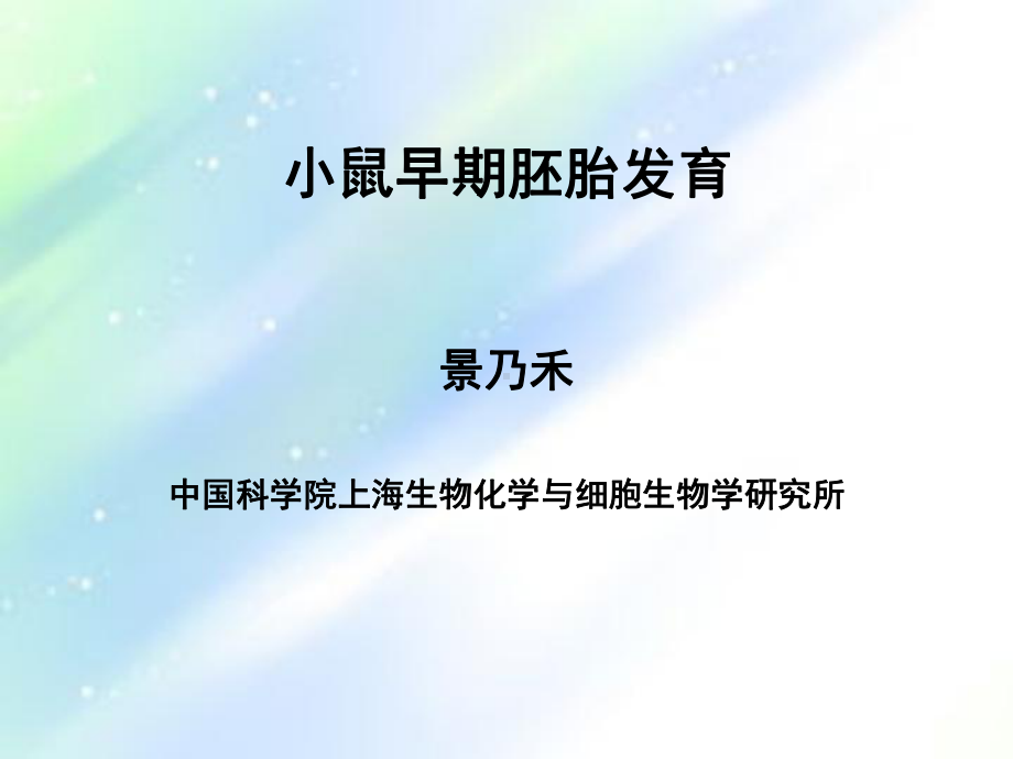 小鼠早期胚胎发育课件.ppt_第1页