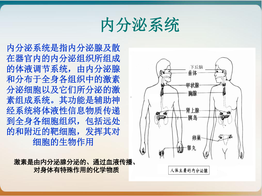 内分泌及代谢性疾病常见症状的护理课件.ppt_第2页