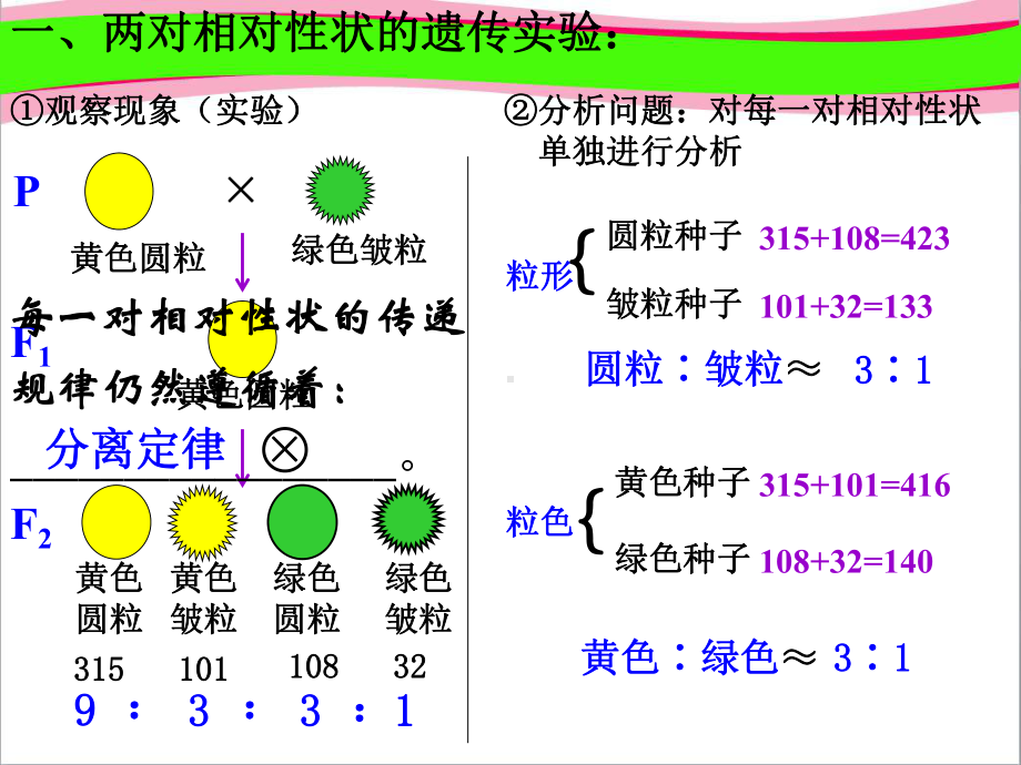 孟德尔的豌豆杂交实验(二)公开课课件.ppt_第3页