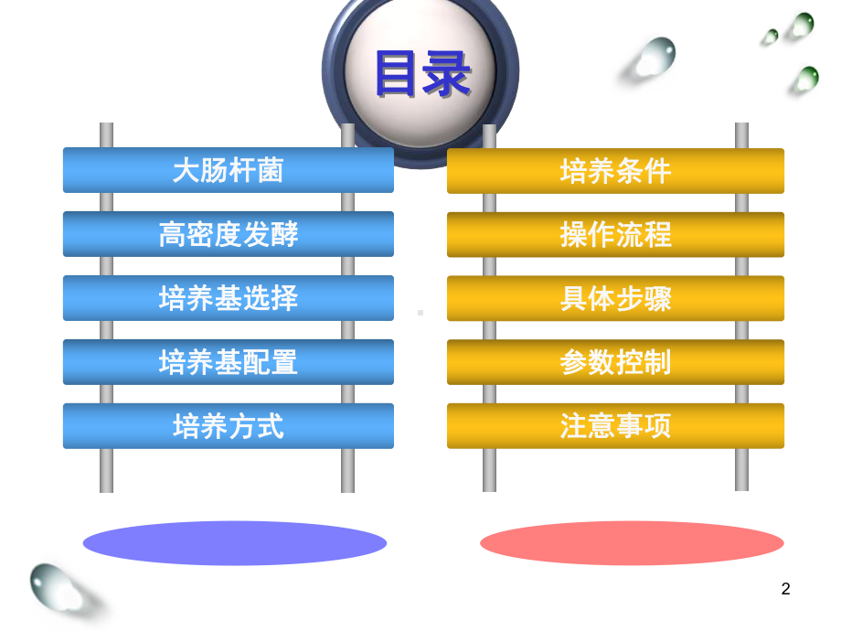 大肠杆菌培养基的优化及发酵罐操作(课堂)课件.ppt_第2页