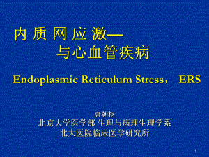 内质网应激与心血管疾病EndoplasmicReticulumStressERS课件.ppt