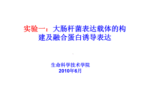 原核表达实验课件.ppt