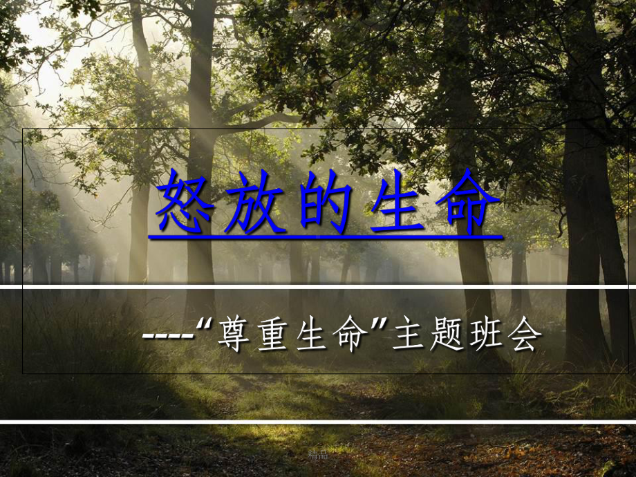 怒放的生命-“尊重生命”主题班会课件.ppt_第1页