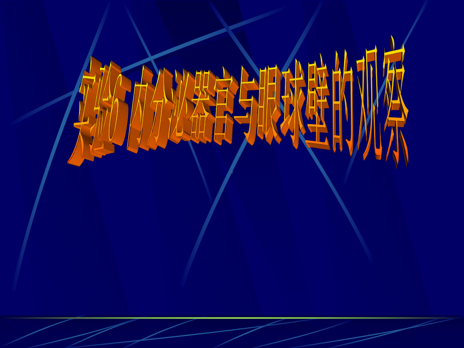 内分泌器官与眼球壁的观察实验六复习课件.ppt_第1页