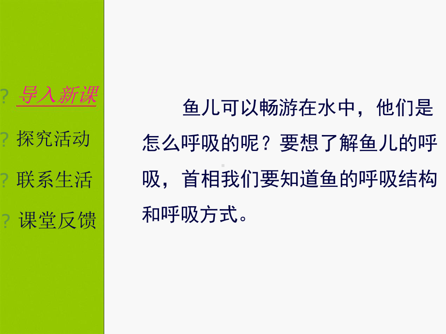 北京版七级生物下册第六章-第三节-其他生物的呼吸-鱼的呼吸-课件-共20张.ppt_第2页