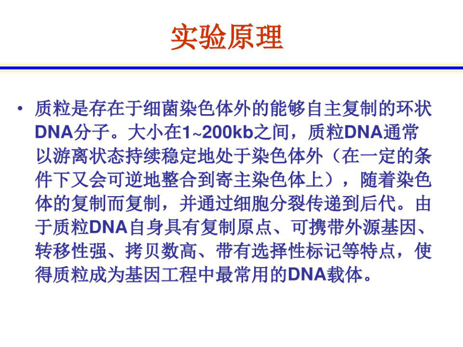 实验六大肠杆菌质粒DNA的提取与电泳检测课件.ppt_第3页