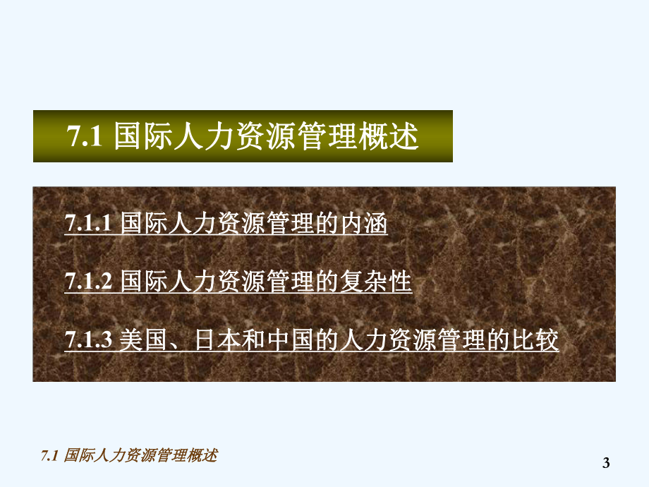 国际企业的人力资源管理教材课件.ppt_第3页