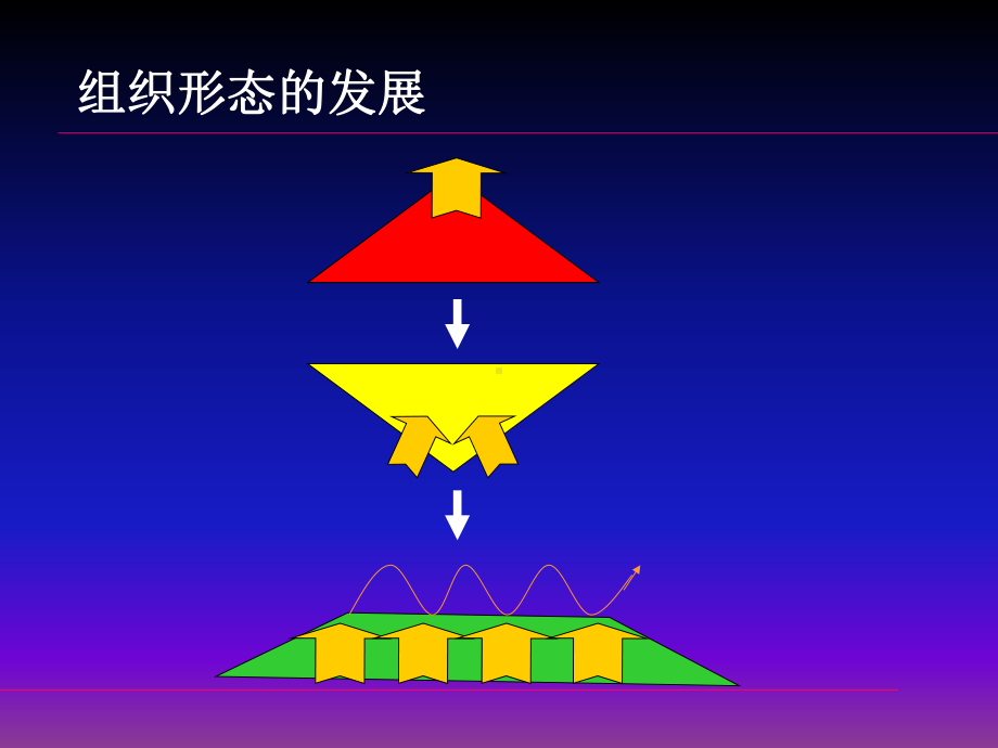 广告公司和人力资源管理课件.ppt_第2页