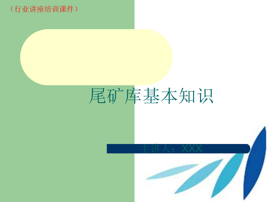 尾矿库处理的几种方案(行业讲座培训课件).ppt_第1页