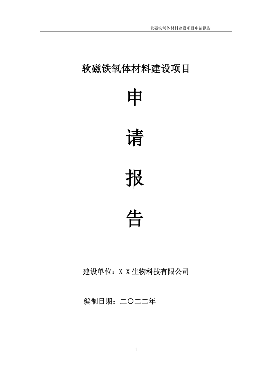 软磁铁氧体材料建设项目申请报告 （可编辑案例）.doc_第1页