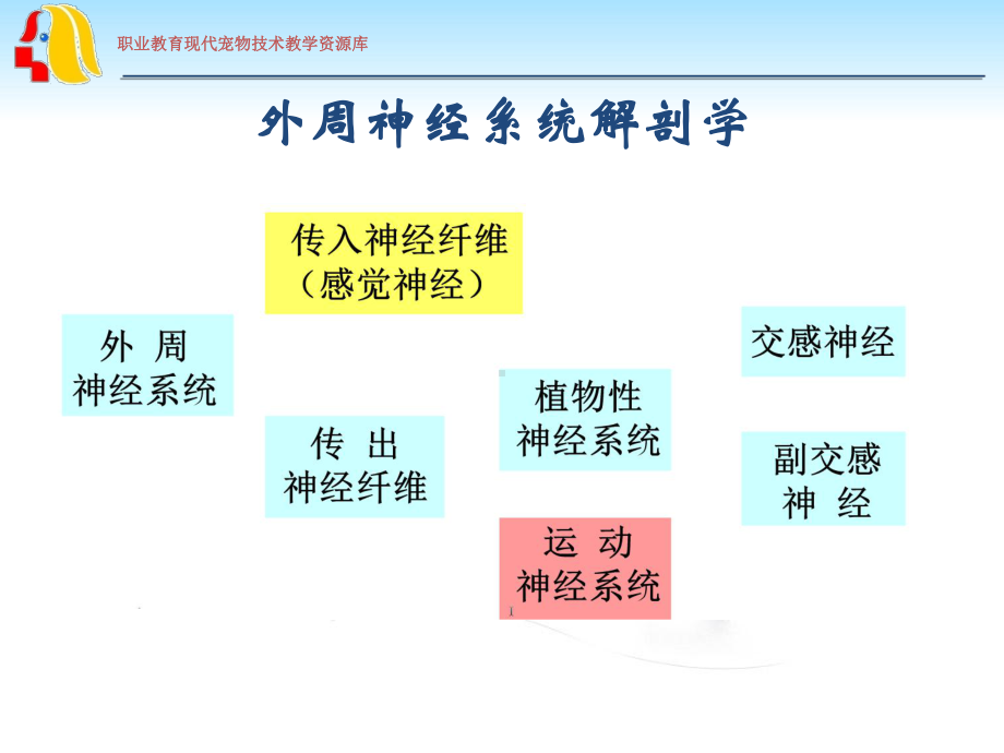 外周神经系统用药wk课件.ppt_第2页