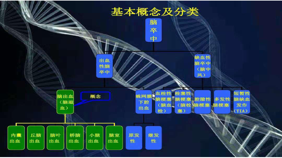 康复评定总复习课件.ppt_第3页