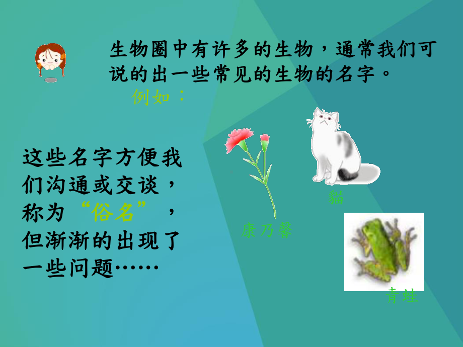 初中生物课件-生物的分类和命名1-.ppt_第2页