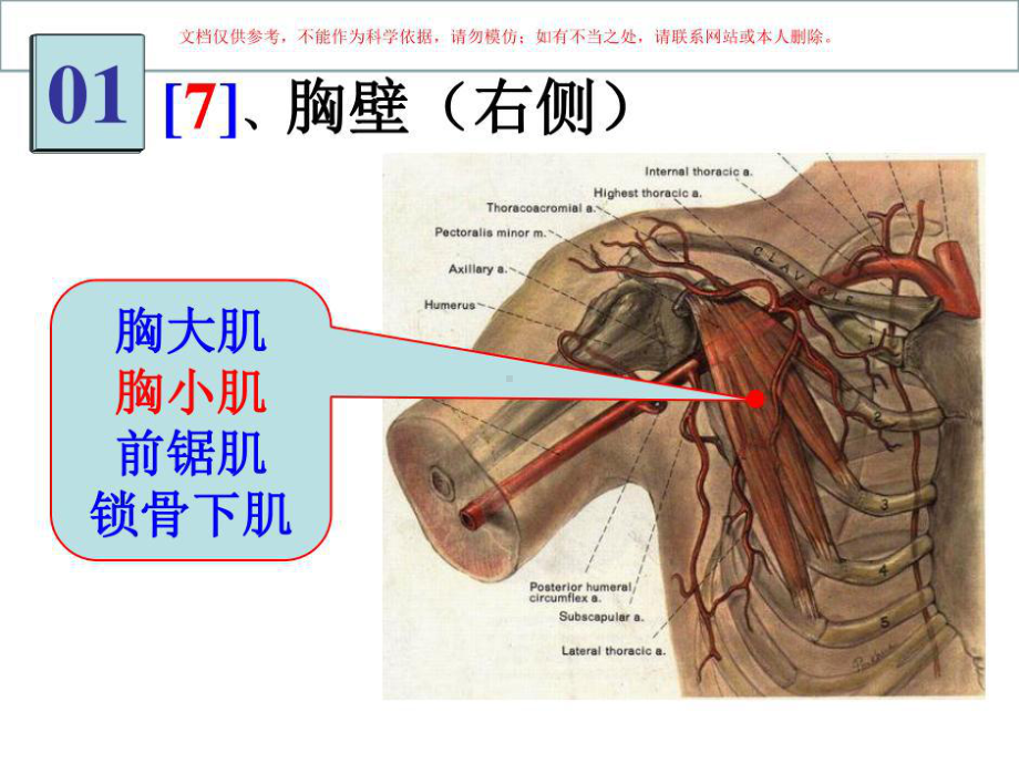 医学局解实验图片共141张课件.ppt_第1页