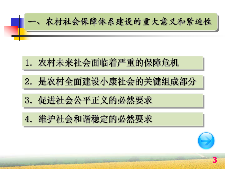 农村社会保障体系的建立与发展讲义(-59张)课件.ppt_第3页