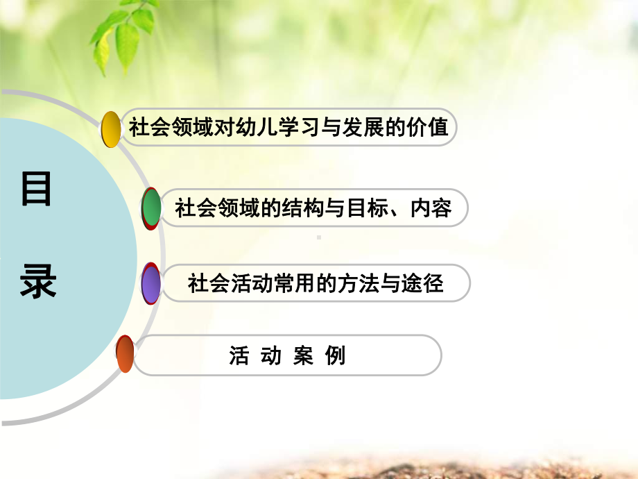 幼师培训：幼儿园社会领域活动设计(讲座培训课件).ppt_第2页