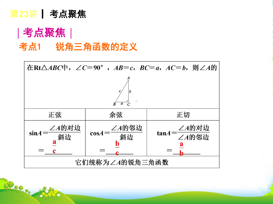 全国中考数学复习方案-第23讲-锐角三角函数课件-新人教版.ppt_第2页