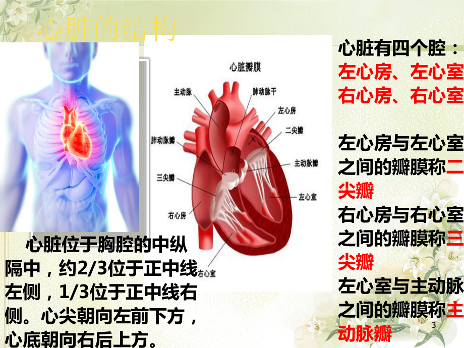 心脏永久起搏器植入术后的护理课件.ppt_第3页