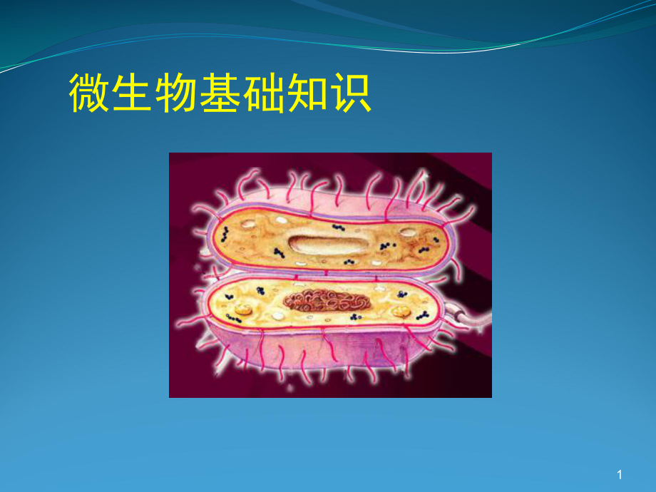 微生物基础课件.ppt_第1页