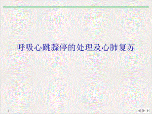 呼吸心跳骤停的处理及心肺复苏推荐课件.ppt