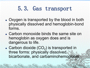 呼吸科呼吸系统课件3.ppt