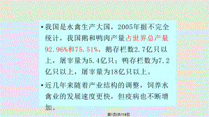 当前水禽规模化养殖传染病的防制课件.pptx