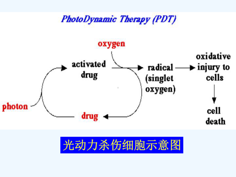 光动力学疗法治疗恶性肿瘤课件.pptx_第3页