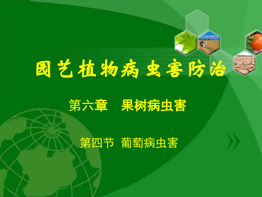 园艺植物病虫害防治-课件.ppt_第1页