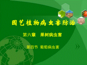 园艺植物病虫害防治-课件.ppt